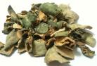25g Dried San Pedro cactus